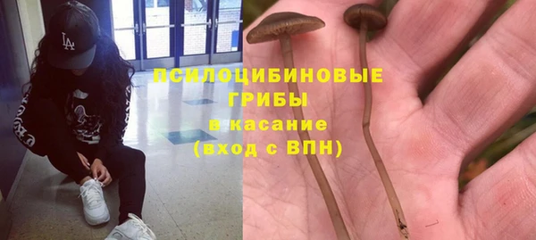 2c-b Арсеньев